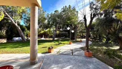 Chalet in Villafranqueza photo 53