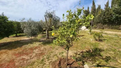 Rustic house in Medina Sidonia photo 4