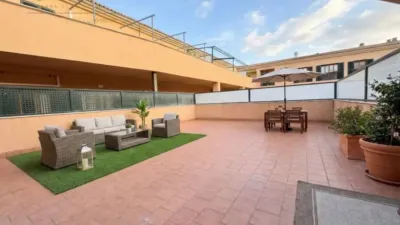 Apartment in Alcúdia photo 2