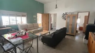 Chalet in Crevillent photo 13