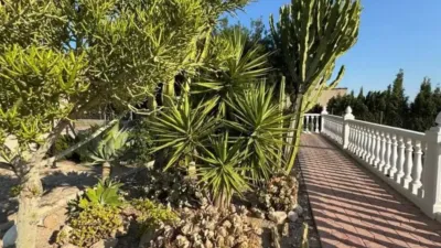 Casa – Albatera, Colonia Ilicitana - Vista 5