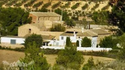 Rustic house in Yecla photo 2