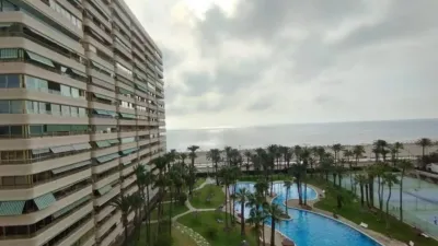 Apartment in Platja Muchavista photo 7