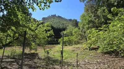 Rustic house in Villanueva del Arzobispo photo 50