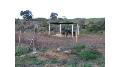 Rustic property in Almogía photo 33