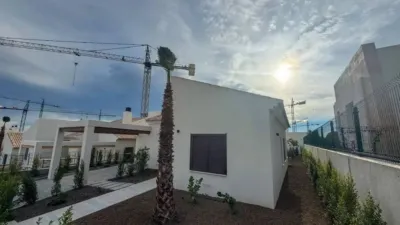 Chalet in Algorfa photo 5