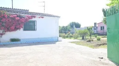 Apartment in Nord Zone photo 3
