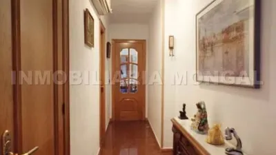 Apartment in Sant Ildefons photo 22
