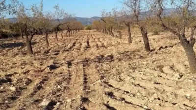 Terreno en venta en Castalla - Vista 4