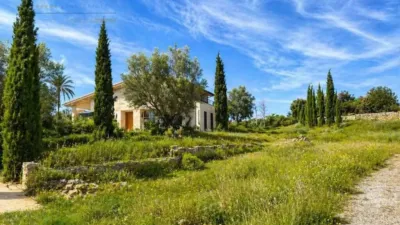 Rustic house in Santa Margalida photo 34