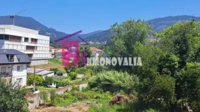 Apartment in Moaña photo 35