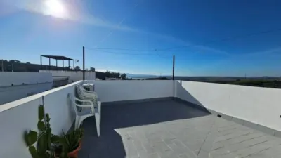 Apartment in Alcalá de los Gazules photo 31
