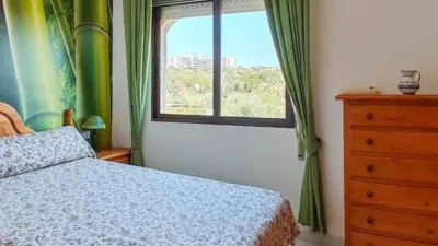 Chalet in Elx - Elche photo 16