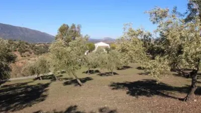 Chalet in El Gastor photo 28