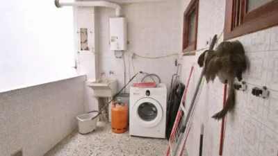 Apartment in Pont Nou photo 3