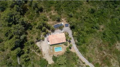 Chalet in Marina Manresa-Mal Pas-Bonaire photo 68