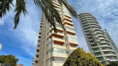 Apartment in Playa del Arenal Bol-Playa del Cantal Roig photo 17