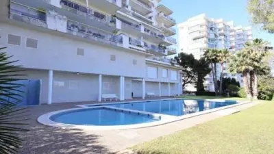 Apartment in Vallpineda-Santa Bàrbara photo 29