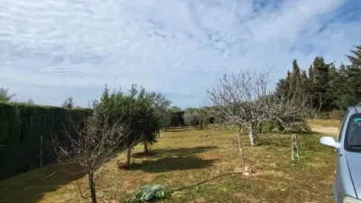 Rustic house in Medina Sidonia photo 6