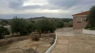 Chalet in Murcia Capital photo 9