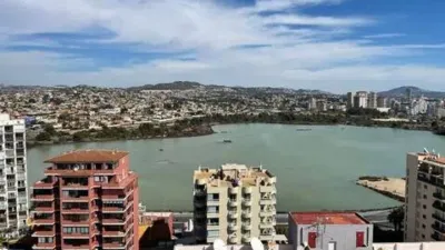 Apartment in Playa del Arenal Bol-Playa del Cantal Roig photo 24