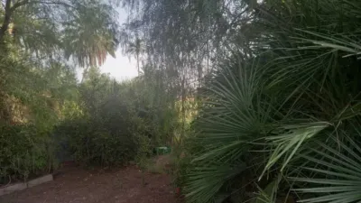 Casa – Elx - Elche - Vista 2
