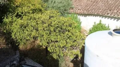 Chalet in El Gastor photo 26