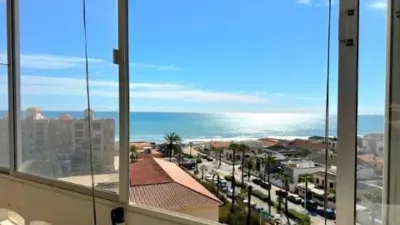 Pis – Torrevieja - Més