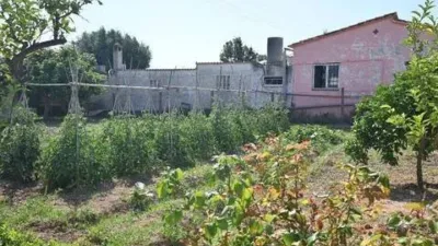 Apartment in Nord Zone photo 28