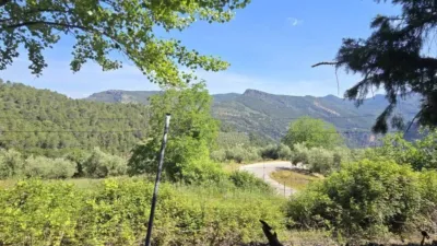 Rustic house in Villanueva del Arzobispo photo 57