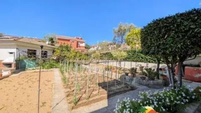 Chalet on Carrer del Mestre Lluis Millet photo 4
