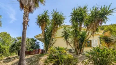 Chalet in Marina Manresa-Mal Pas-Bonaire photo 80