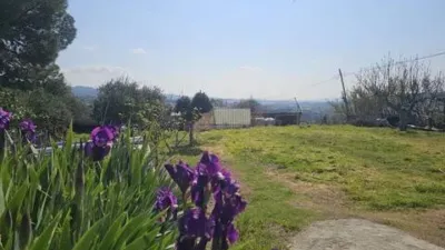 Chalet in La Colònia Sedó photo 40