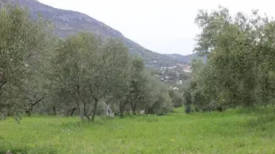 Chalet in Algodonales photo 22