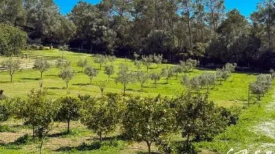Rustic house in Sineu photo 30