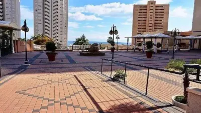Apartment in Carrer Hisenda de l'Administrador photo 34