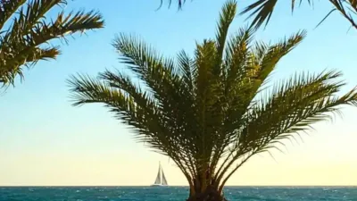 Apartment in Centre-Port-Platja Llevant photo 9