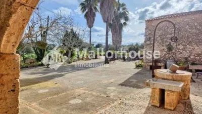Rustic property in Santa Margalida photo 24