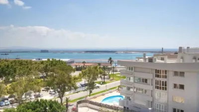Apartment in Palma de Mallorca photo 4