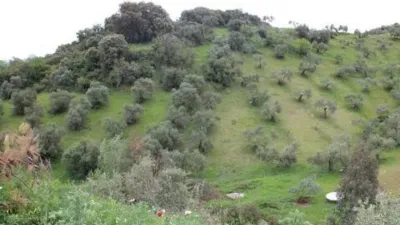 Chalet in Algodonales photo 8