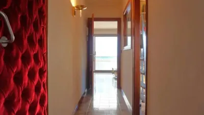 Apartment in Calella photo 22