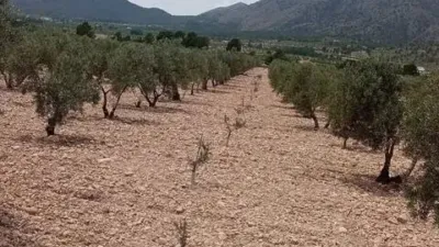 Terreno en venta en Salinas - Vista 2