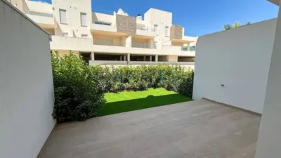 Apartment in Algorfa photo 25