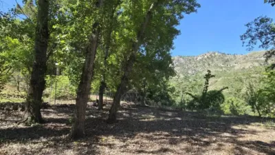 Rustic house in Villanueva del Arzobispo photo 51