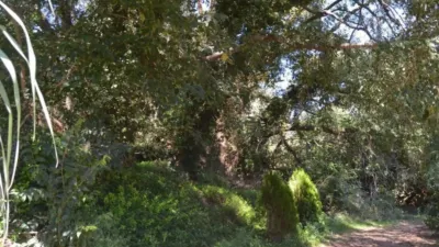Rustic house in Vila-rodona photo 49