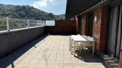 Penthouse in Valle de Trapagaran photo 10