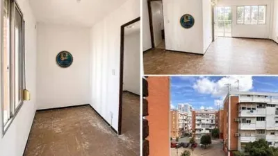 Apartment in San Pablo photo 4