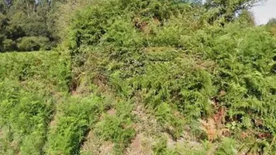 Terreno en venta en San Lázaro-Meixonfrío - Vista 6