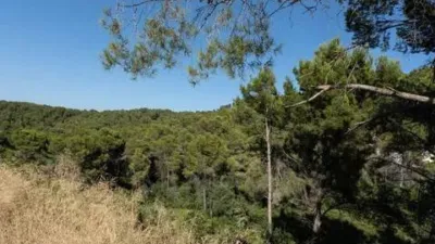 Terreno en venta en los Cerezos-La Mandarina-La Finca-Covatelles - Més