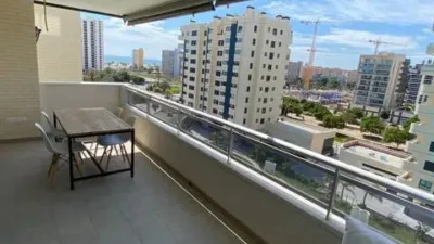 Pis – Alacant / Alicante, l'Alacantí - Vista 4